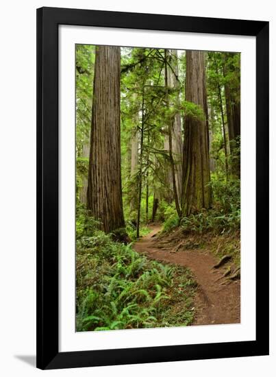 Hiking Trail I-Brian Moore-Framed Photographic Print