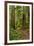 Hiking Trail I-Brian Moore-Framed Photographic Print