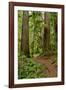 Hiking Trail I-Brian Moore-Framed Photographic Print