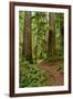 Hiking Trail I-Brian Moore-Framed Photographic Print