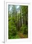 Hiking Trail II-Brian Moore-Framed Photographic Print