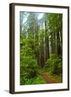 Hiking Trail II-Brian Moore-Framed Photographic Print