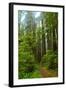 Hiking Trail II-Brian Moore-Framed Photographic Print