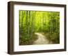 Hiking trail in forest during early Autumn-Terry Eggers-Framed Photographic Print