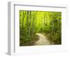 Hiking trail in forest during early Autumn-Terry Eggers-Framed Photographic Print