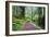 Hiking Trail in the Redwoods-Terry Eggers-Framed Photographic Print