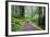 Hiking Trail in the Redwoods-Terry Eggers-Framed Photographic Print