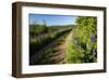 Hiking Trail on Lake Schluchsee, Southern Black Forest, Baden-Wuerttemberg, Germany-null-Framed Art Print