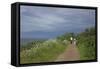 Hiking Trail on the Flower Covered Steep Bank with a View to the Baltic Sea-Uwe Steffens-Framed Stretched Canvas