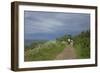 Hiking Trail on the Flower Covered Steep Bank with a View to the Baltic Sea-Uwe Steffens-Framed Photographic Print