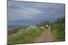 Hiking Trail on the Flower Covered Steep Bank with a View to the Baltic Sea-Uwe Steffens-Mounted Photographic Print