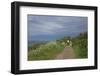 Hiking Trail on the Flower Covered Steep Bank with a View to the Baltic Sea-Uwe Steffens-Framed Photographic Print