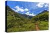 Hiking Trail to Hanakapiíai Falls in Kauai Along the Na Pali Coast-Andrew Shoemaker-Stretched Canvas