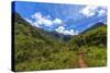 Hiking Trail to Hanakapiíai Falls in Kauai Along the Na Pali Coast-Andrew Shoemaker-Stretched Canvas