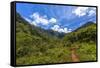 Hiking Trail to Hanakapiíai Falls in Kauai Along the Na Pali Coast-Andrew Shoemaker-Framed Stretched Canvas