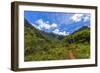 Hiking Trail to Hanakapiíai Falls in Kauai Along the Na Pali Coast-Andrew Shoemaker-Framed Photographic Print