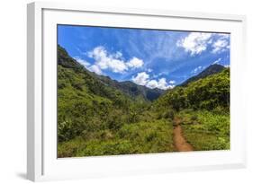 Hiking Trail to Hanakapiíai Falls in Kauai Along the Na Pali Coast-Andrew Shoemaker-Framed Photographic Print