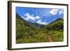 Hiking Trail to Hanakapiíai Falls in Kauai Along the Na Pali Coast-Andrew Shoemaker-Framed Photographic Print