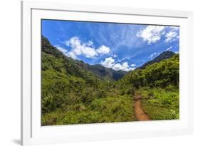 Hiking Trail to Hanakapiíai Falls in Kauai Along the Na Pali Coast-Andrew Shoemaker-Framed Photographic Print