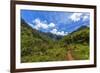 Hiking Trail to Hanakapiíai Falls in Kauai Along the Na Pali Coast-Andrew Shoemaker-Framed Photographic Print