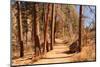Hiking Trail-Wilsilver-Mounted Photographic Print