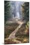 Hiking Trail-Cora Niele-Mounted Photographic Print