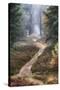 Hiking Trail-Cora Niele-Stretched Canvas
