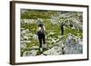 Hiking-David Ionut-Framed Photographic Print