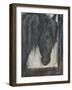 Hilandero-Solveiga-Framed Giclee Print