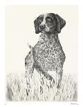 Canine - Gaze-Hilary Armstrong-Limited Edition