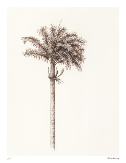 Limited Edition, , large