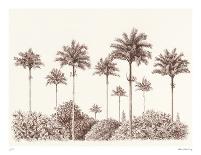 Soft Palm - Parade-Hilary Armstrong-Limited Edition