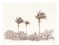 Soft Palm - Parade-Hilary Armstrong-Limited Edition