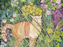 Gordon's Cat, 1996-Hilary Jones-Giclee Print