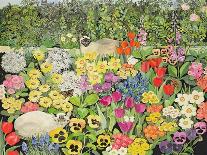 Hedgehog Amongst the Flowers-Hilary Jones-Giclee Print