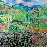 Cabbages and Lilies, Solola Region, Guatemala, 1993-Hilary Simon-Giclee Print