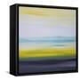 Framed Canvas