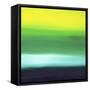 Framed Canvas