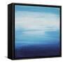 Framed Canvas