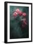 Black Frame