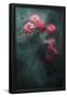 Essential Black