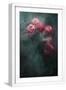 White Frame