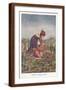 Brown Frame
