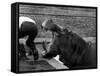 Hilda the Humorous Hippo Joking with Zoo Keeper in Phoenix Park Zoo, Dublin, June 1969-null-Framed Stretched Canvas