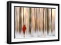 Black Frame