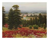 Blooms Above the Valley-Hilger-Art Print