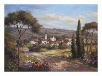 Blooms Above the Valley-Hilger-Art Print