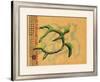 Hilihili Honu, Green Sea Turtle-Lynn Cook-Framed Giclee Print