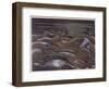 Hill 60 from the Cutting, British Artists at the Front, Continuation of the Western Front, c.1918-Paul Nash-Framed Giclee Print