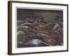 Hill 60 from the Cutting, British Artists at the Front, Continuation of the Western Front, c.1918-Paul Nash-Framed Giclee Print